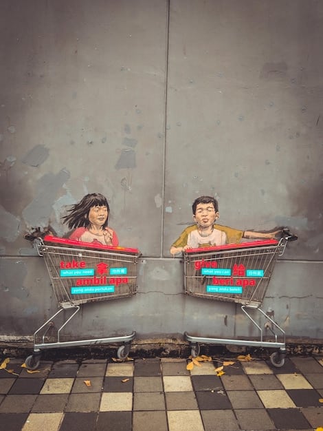 A split image comparing two shopping carts. On one side, a cart filled with trendy, inexpensive Shein items, representing potential overspending. On the other side, a smaller, more curated selection of sustainable and ethically sourced clothing, representing conscious consumption.