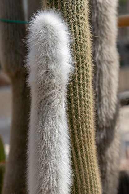 A close-up of different textures and patterns of wide-leg trousers, showcasing materials like corduroy, wool, and tweed. Some trousers have visible pockets and pleats, highlighting the tailored yet relaxed design.