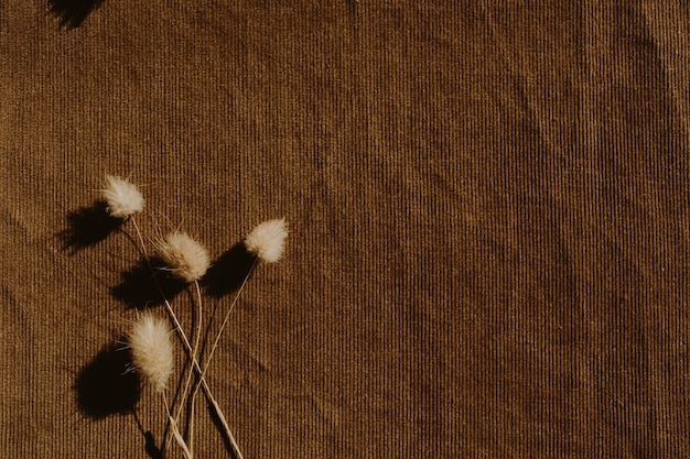 A flat lay showcasing fabric swatches in earthy tones like deep brown, burnt orange, and muted green. Textures include cashmere, wool, and corduroy, displayed with autumn leaves and pinecones for seasonal context.
